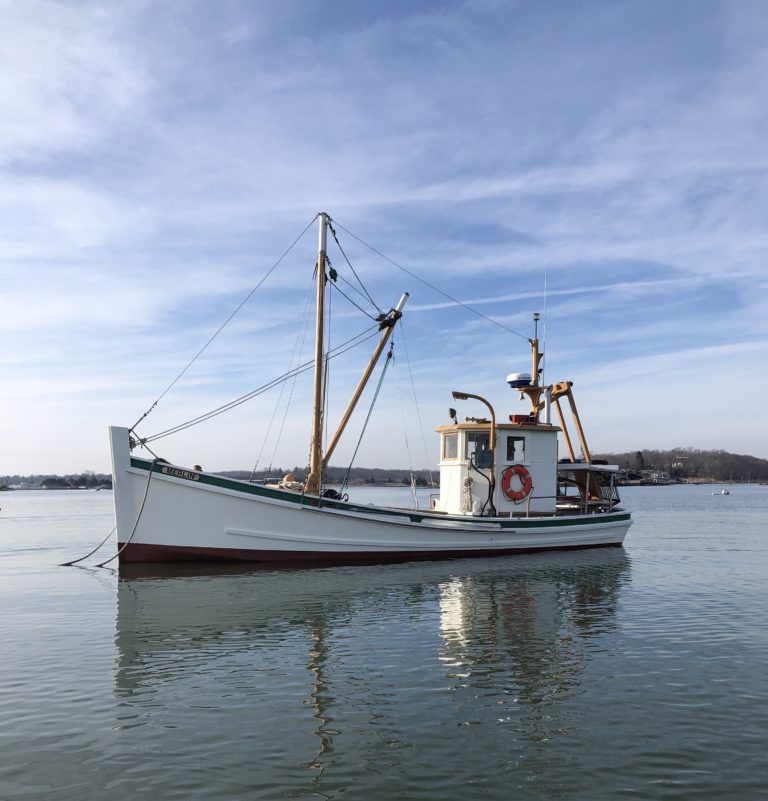 05A7E158 F2C5 49F5 B08E 91751936A874 768x801