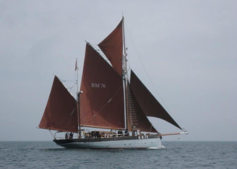 10700727 570541819717881 8051678493196262496 o 768x548