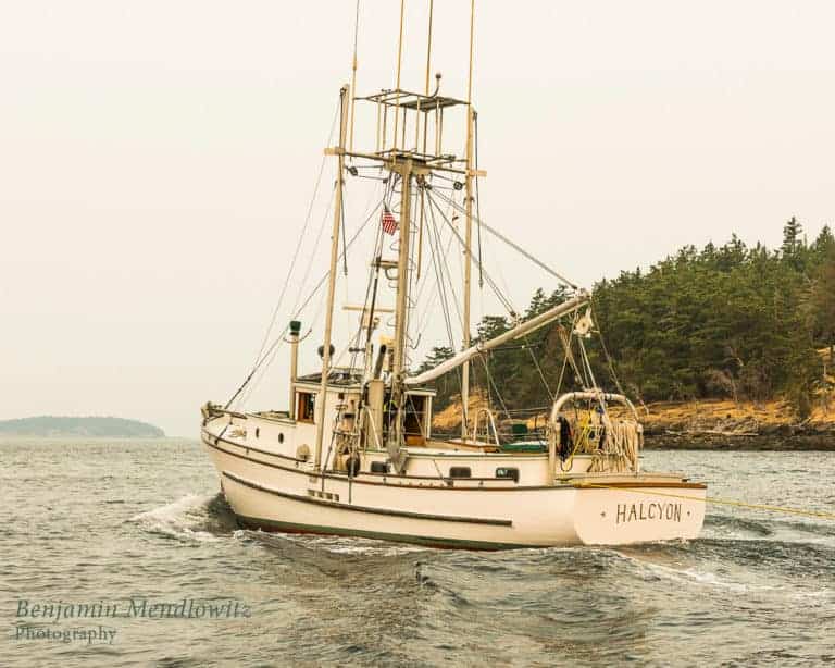 1744146 Halcyon 768x614