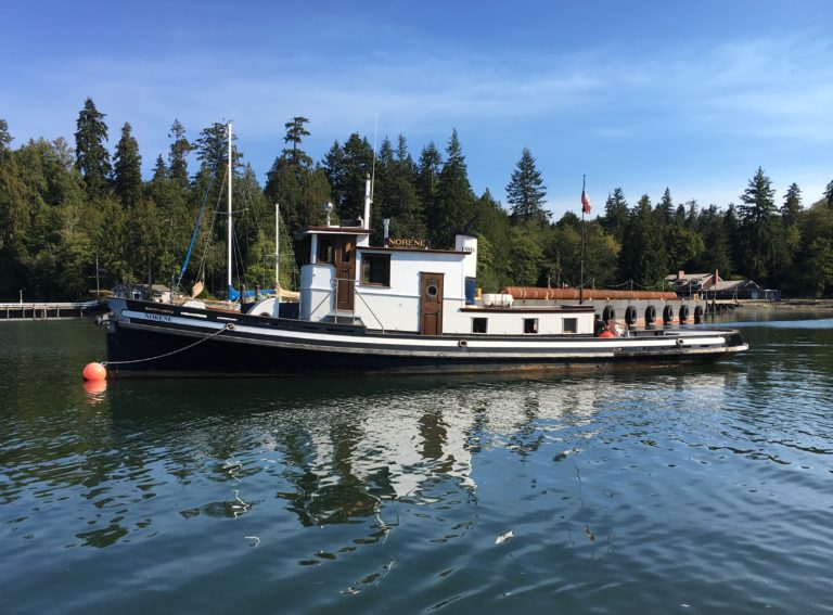 17C264D3 D2A9 4F7A A92B 7B7B35727255 768x567