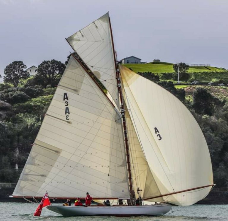 18FE87BA D686 4585 9965 F784D6A65D2C 768x742