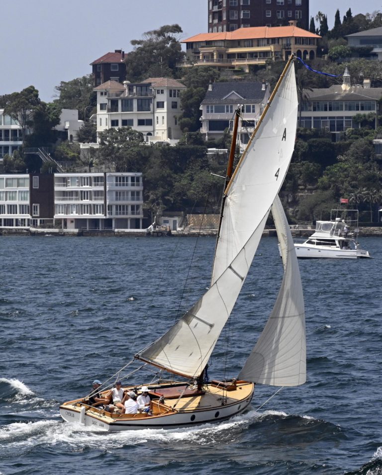 2020 Australia Day 768x955