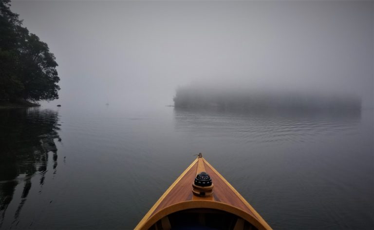 20200819 081238 768x472