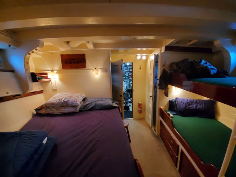 20210125 144710lores 768x576