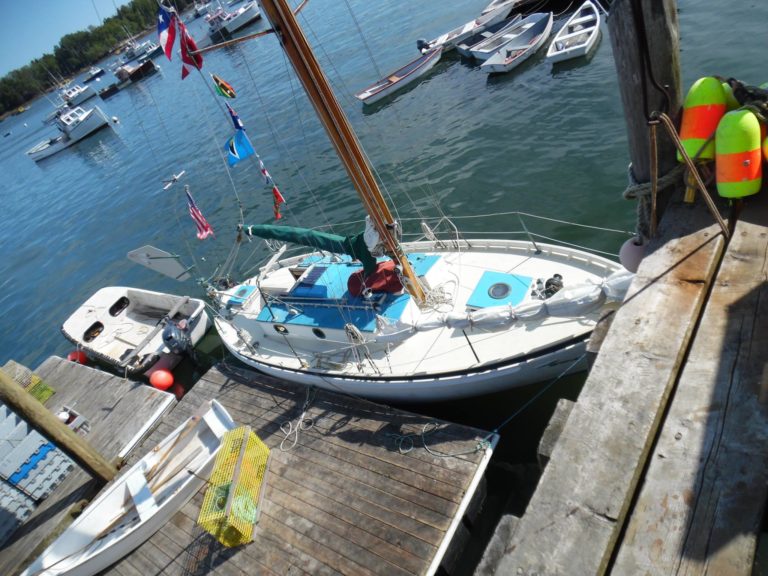 20689490 493642014317397 991388760956778656 o 768x576