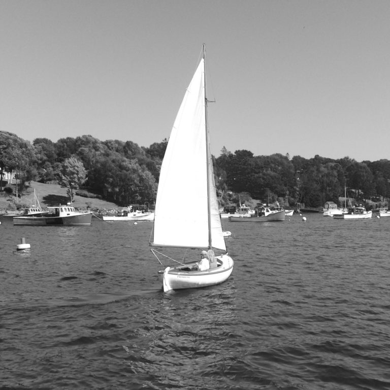 2D4D8703 8F66 450D 8629 B22504BF1198 768x767