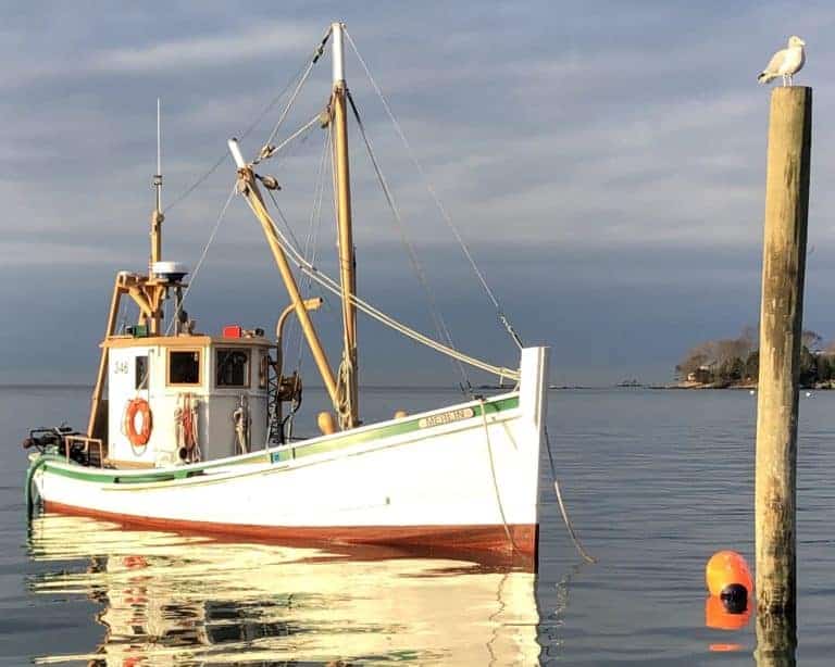 2F763B87 F4C6 49E6 8B76 0453EC94AEEE 768x614