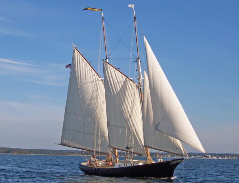 32 Noank Sailing 1 768x588