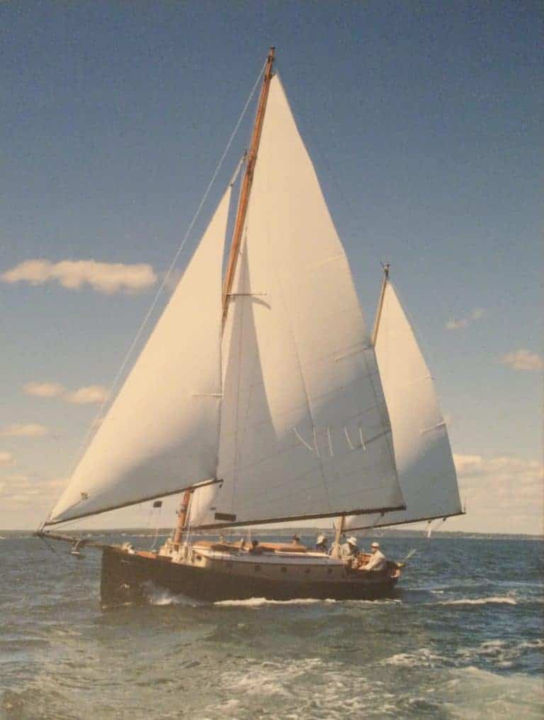 3E3E3782 0B3B 48C4 8B5A 10F60634E2FB 768x1015