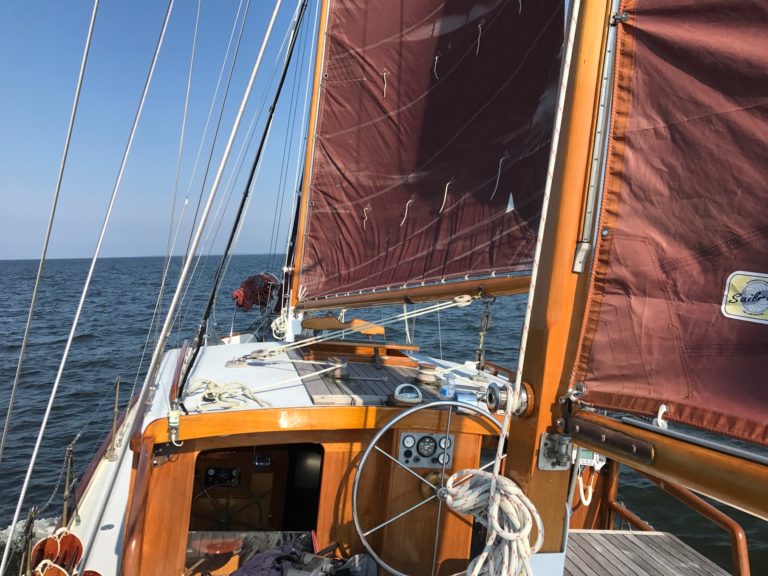 53C0AF82 6B6A 45B5 968A D4BD21D04EDE 768x576