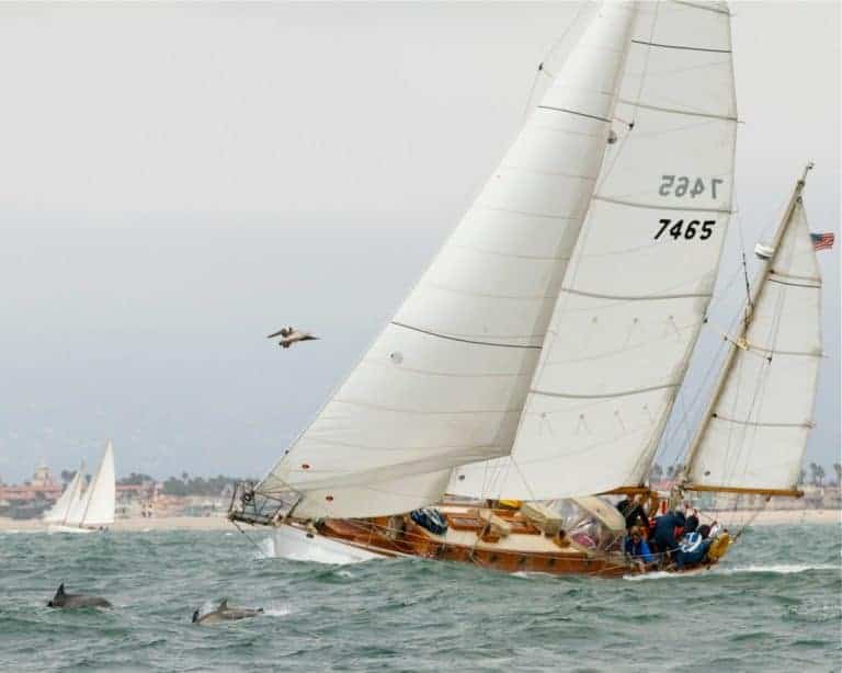 5996305557 a9e8cab512 o 768x614