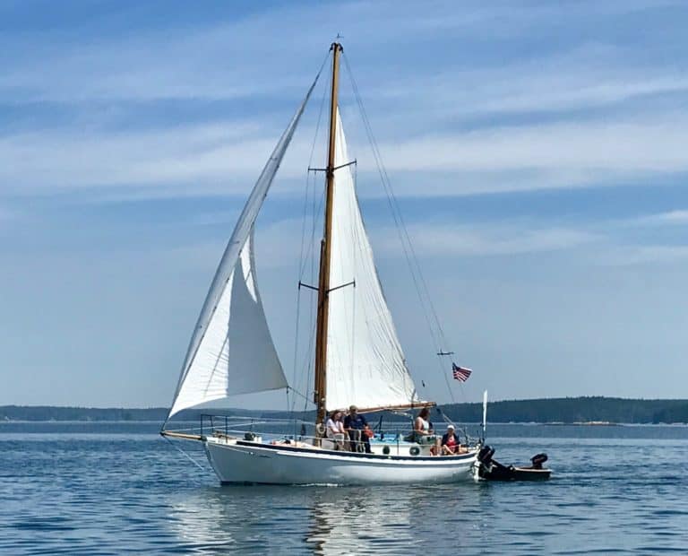 66088772 2389564621265820 3244175707055587328 o 768x620