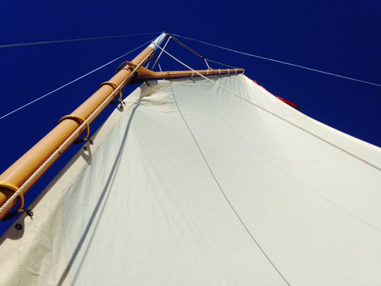 6610DAF6 F076 45EE BDD6 5DD97882AAA6 768x576