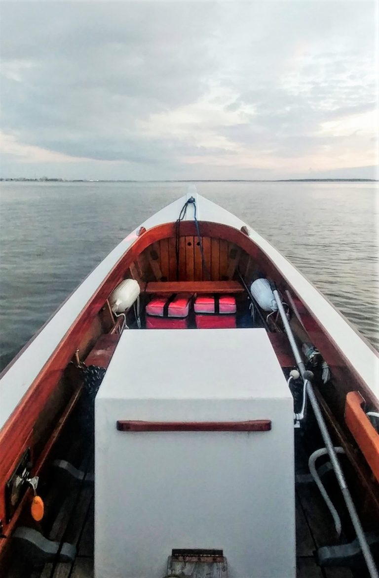 69252521 1365927080232581 4033205252810342400 o 768x1169