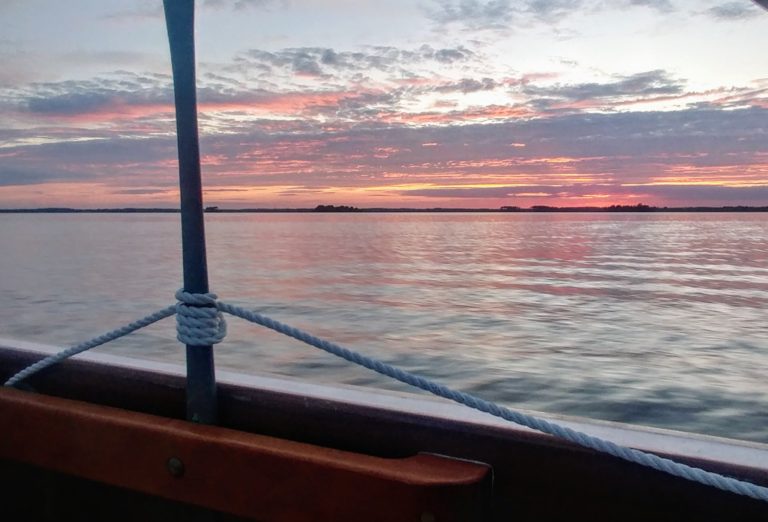 69414557 1365927046899251 3115689917854777344 o 768x522