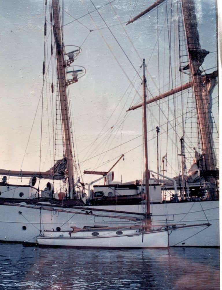 6F2F7929 3589 4862 B57A D5AE69455EBD 768x1003