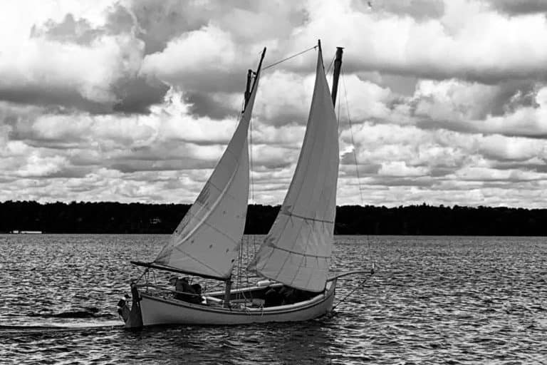 72470149 981737165502878 6421696803032268800 o 768x512