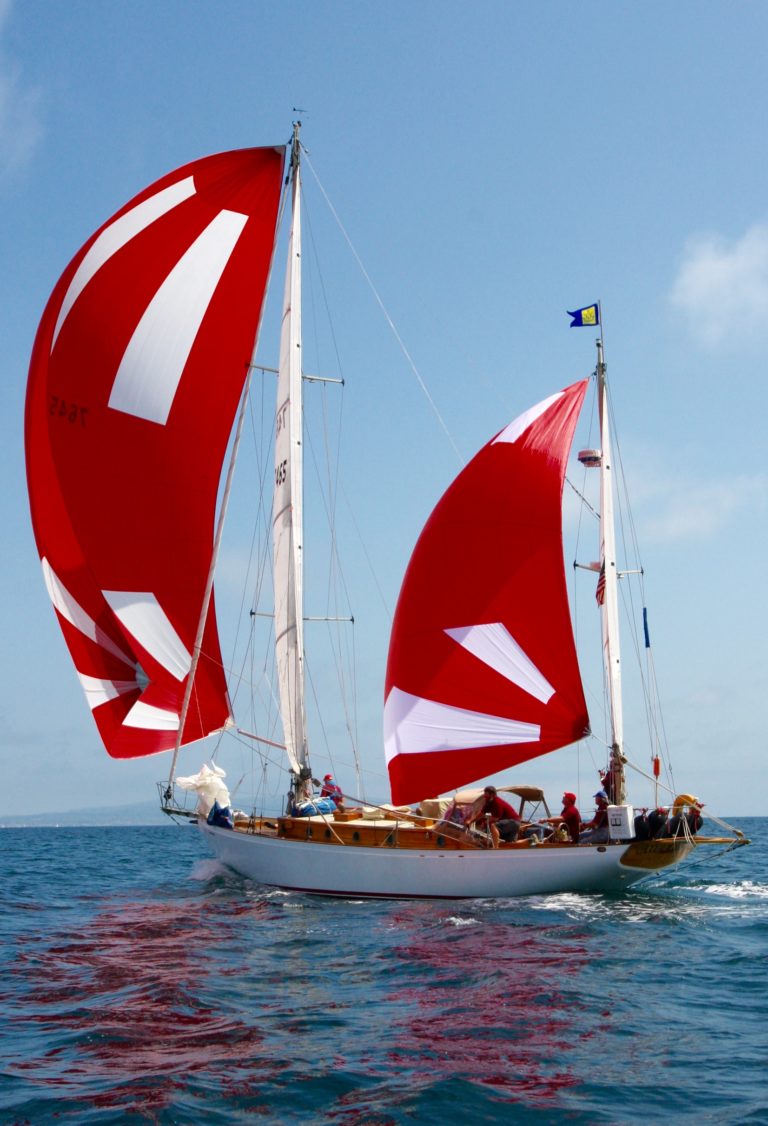 73208836 IMG 0362 768x1126