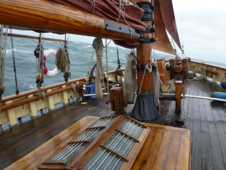 76367 329293123842753 1388910469 n 768x576