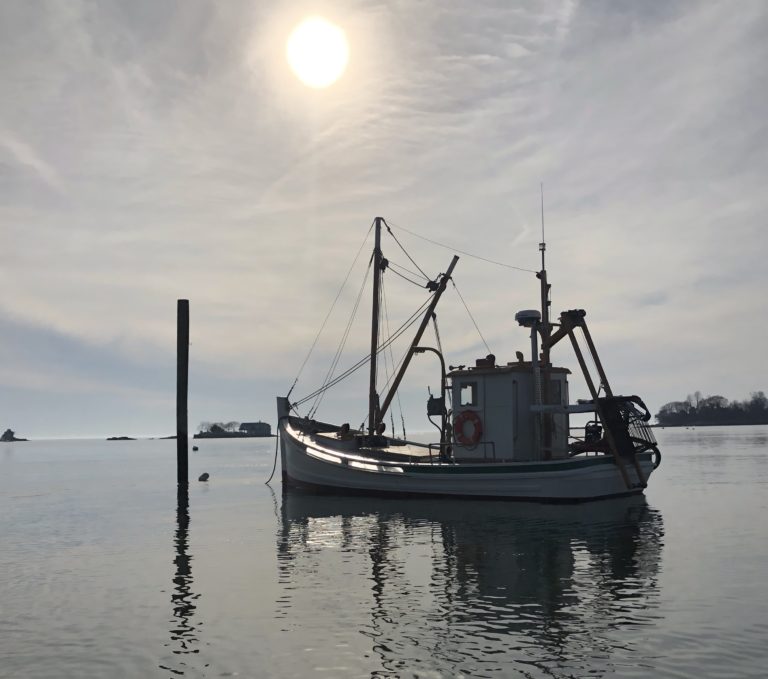 9D594FFF 37A0 4701 8DF4 E0E23606011B 768x679