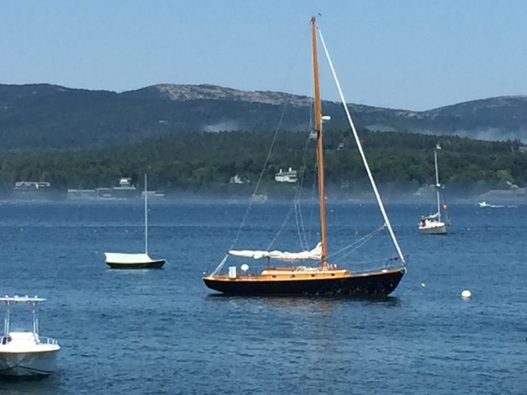 A141D425 E760 4A6E A65F D1EDC3DD7EF4 768x576