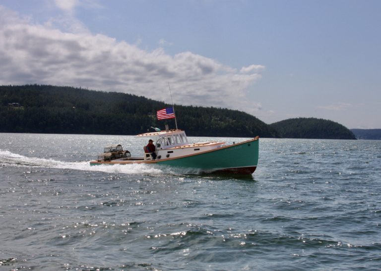 A1B6E294 B8EC 417B 89F7 D4019FB6FA20 768x547