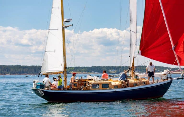 Abigail Spin 1 768x488