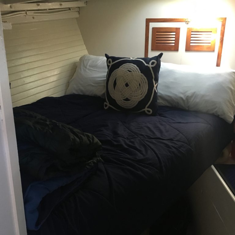 B813F42E 8218 49F2 84C2 B4BBF447E130 768x768