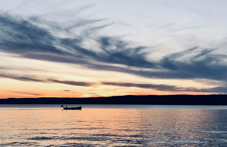 B874076A F5F0 45B0 BFB8 775D995F3AE1 768x499