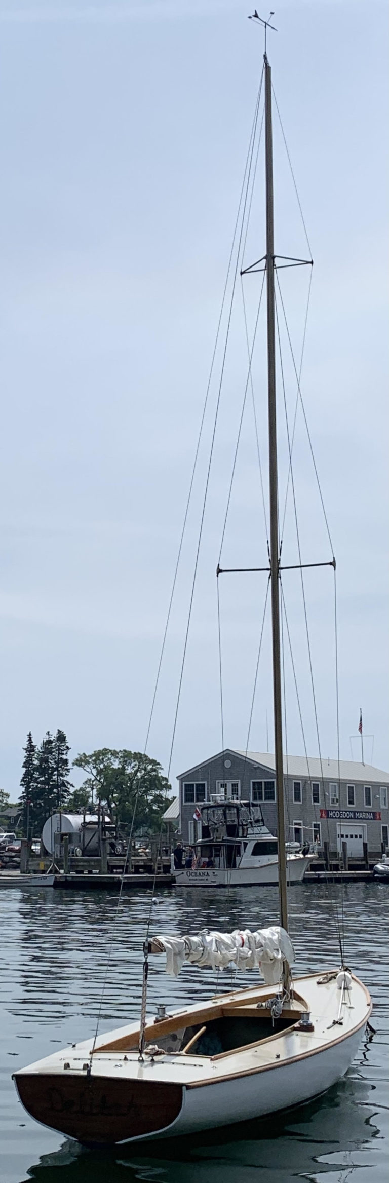 Delilah08 1 768x2335