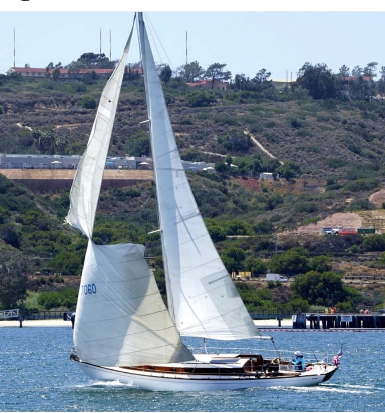 E336A692 12CE 4295 A061 6AC99491EEE8 768x822