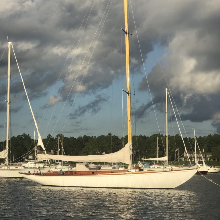 EB24A5B2 B56E 4D43 B366 BE3603299435 768x768