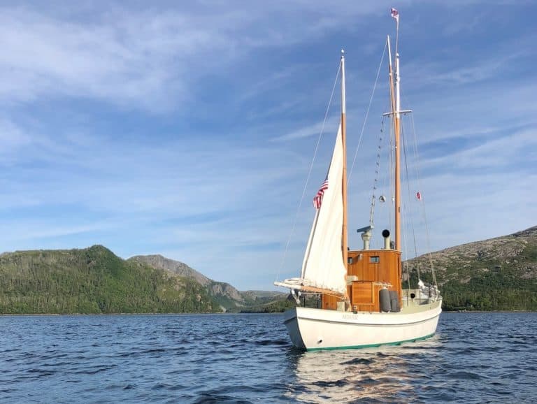 Grayling in Newfoundland close 768x578