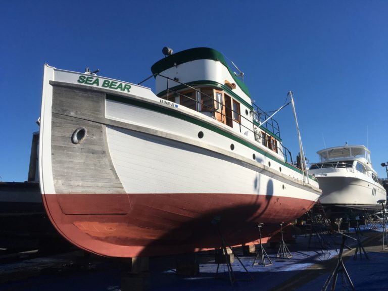 IMG 1170lores 768x576