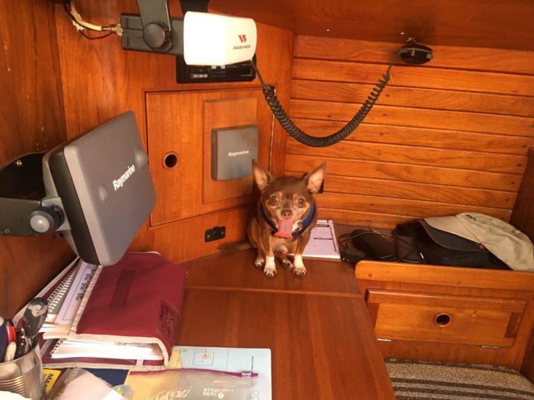 IMG 1648 Mame 10 768x576