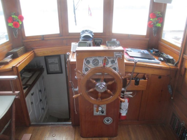 IMG 2206 resize 2 768x576