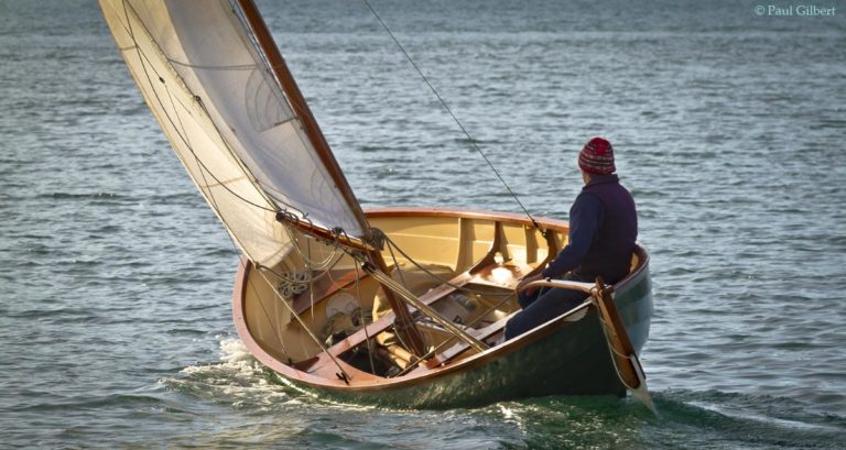 IMG 2772 ©  768x409