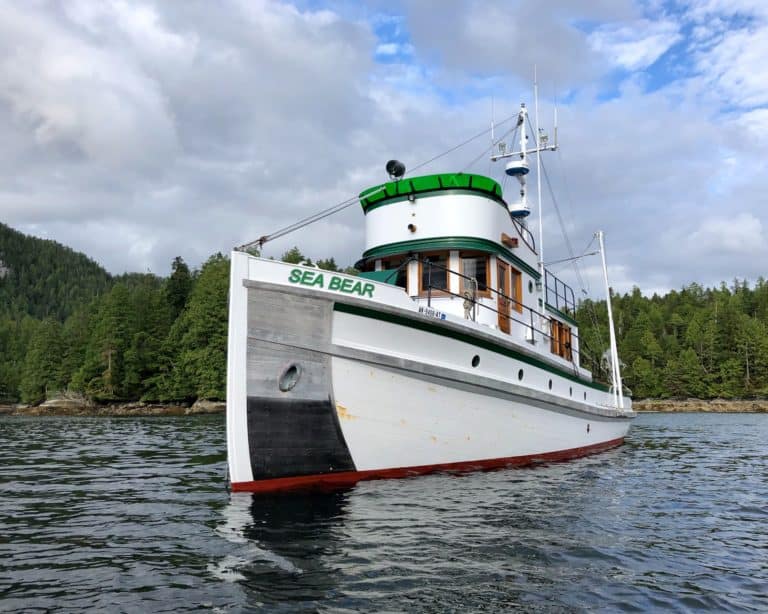 IMG 3866lores 768x614