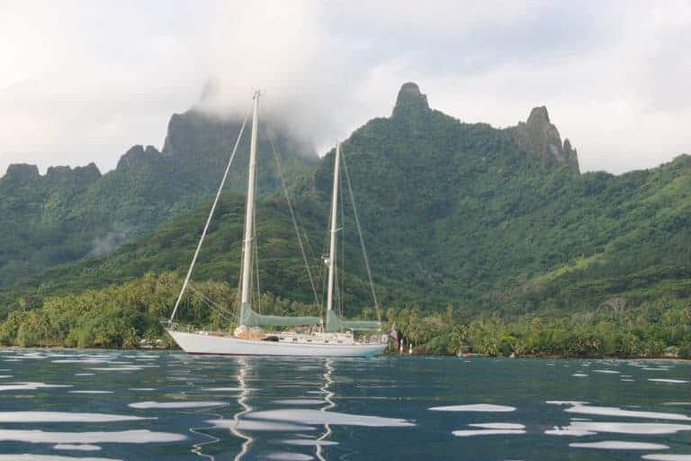 MARNIE AT ANCHOR MOREA 768x512