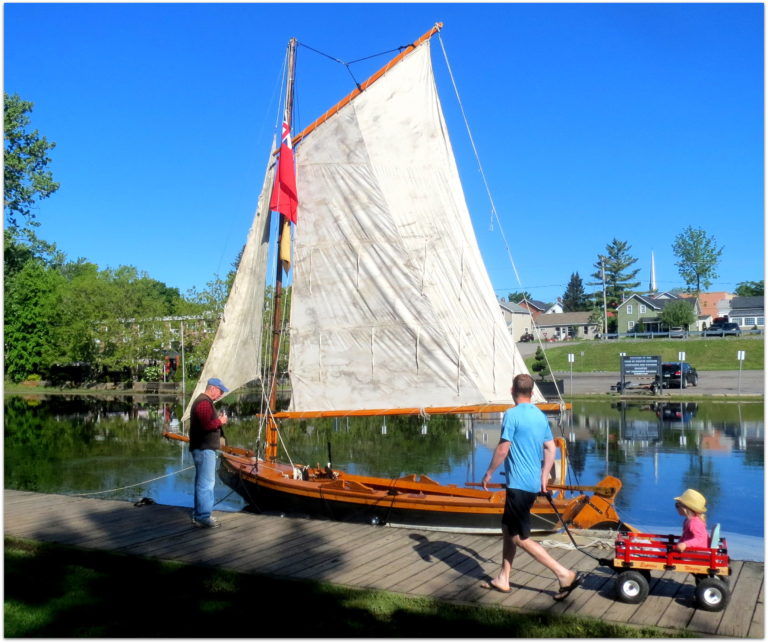 Raven Napanee2019 768x643