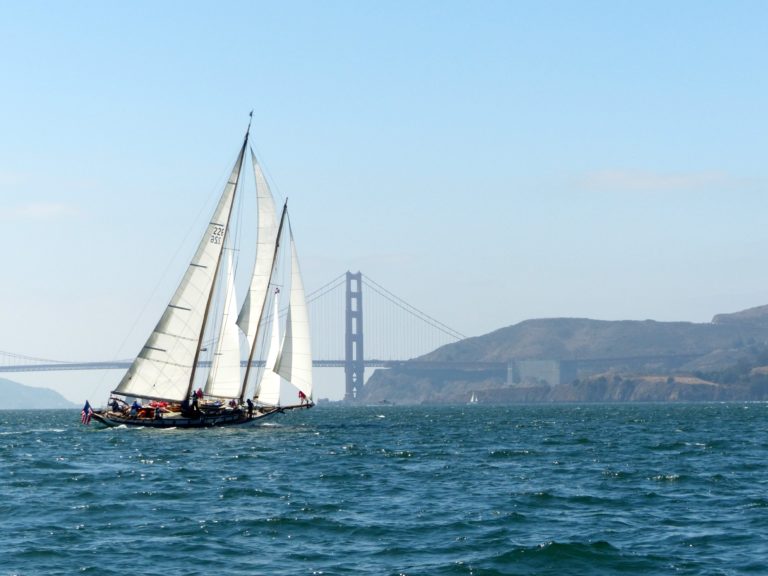 SF 2014 race 2 768x576