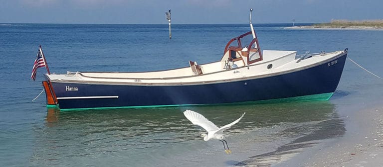 Shell Key Hanna w bird croped 1 768x336