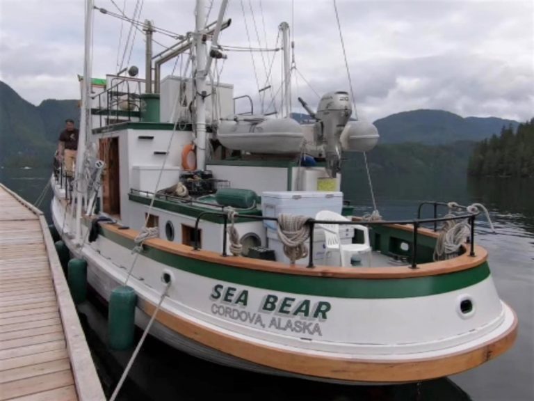 SnapShotSBsterncrop 768x576