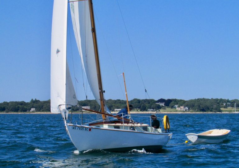 Spartina leaving Padanarum Aug 2017 c 768x539