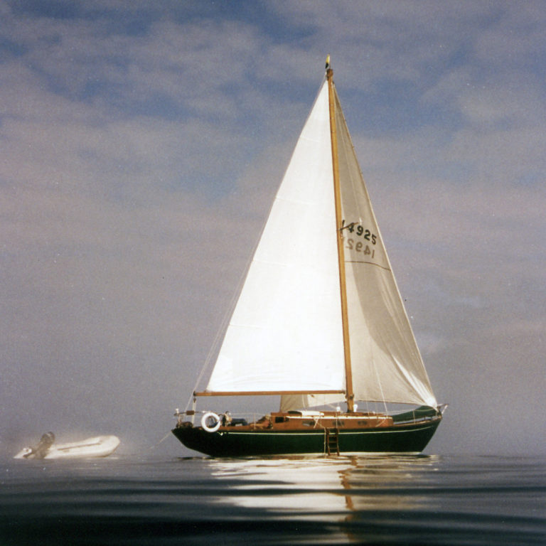 Truant By Donna Miller 1 768x768