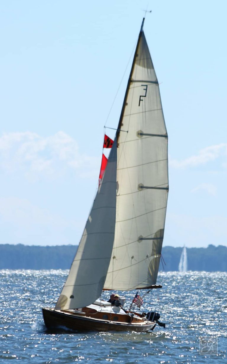 img 3879 1 1 768x1232