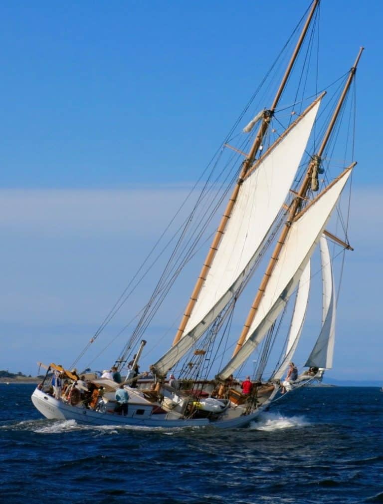 rail down 4 lowers 768x1010