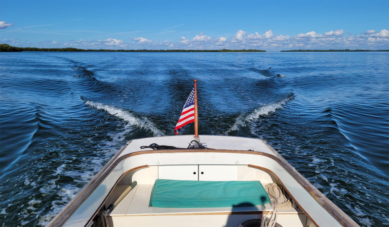 saturday cruise 768x449