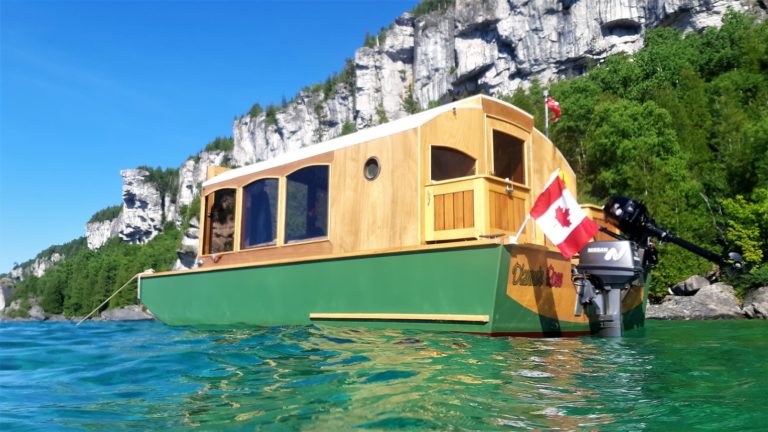 www Lions head 768x432