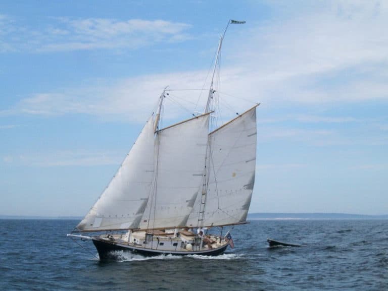 000 advent sail copy 768x577